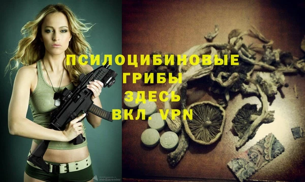 МДПВ Магас