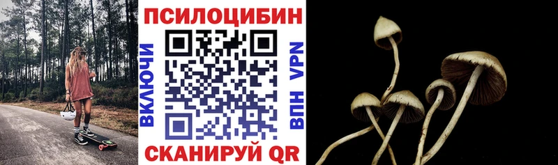 MEGA как зайти  Иваново  Галлюциногенные грибы мицелий  наркотики 