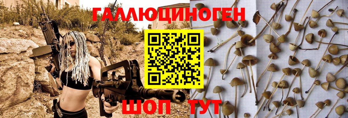 где купить наркотик  Псилоцибиновые грибы MAGIC MUSHROOMS  Вход с VPN  Иваново 