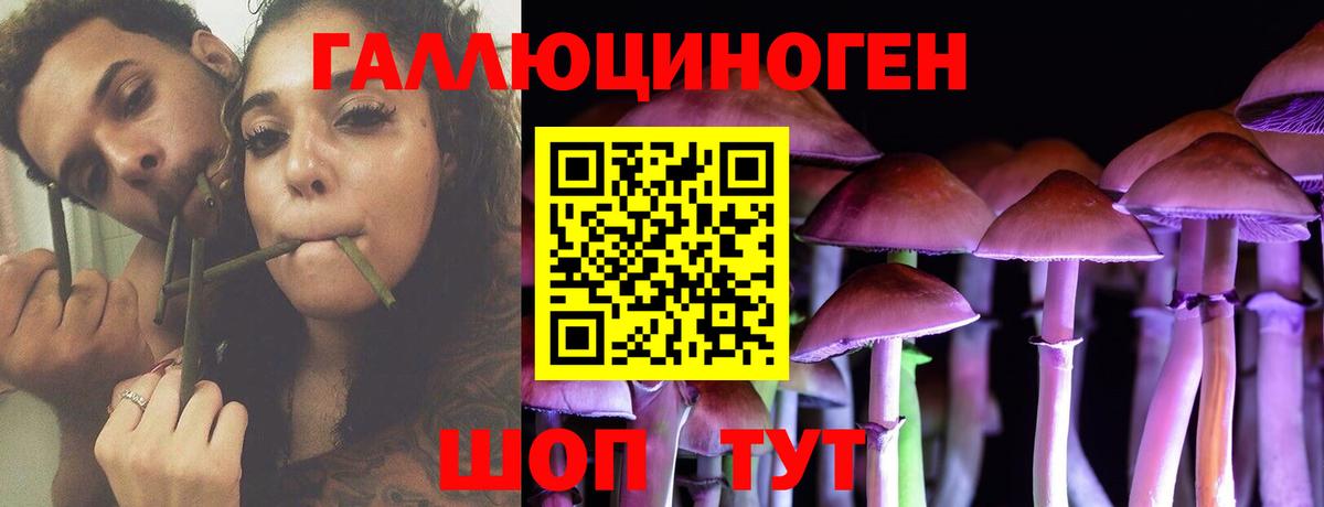 Псилоцибиновые грибы Psilocybine cubensis Иваново